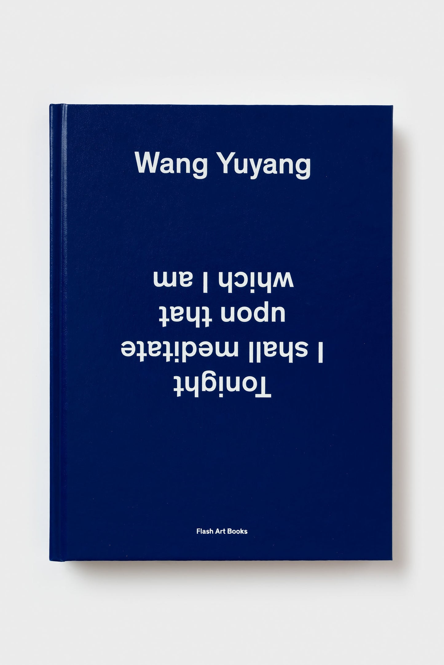 Wang Yuyang. Tonight I Shall Meditate upon That Which I Am