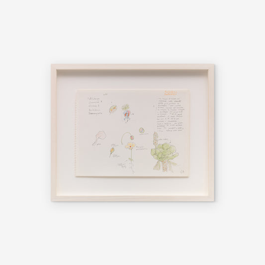In store 047