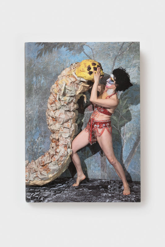 Monster Chetwynd. The Supreme Deluxe Essential Monster Chetwynd Handbook