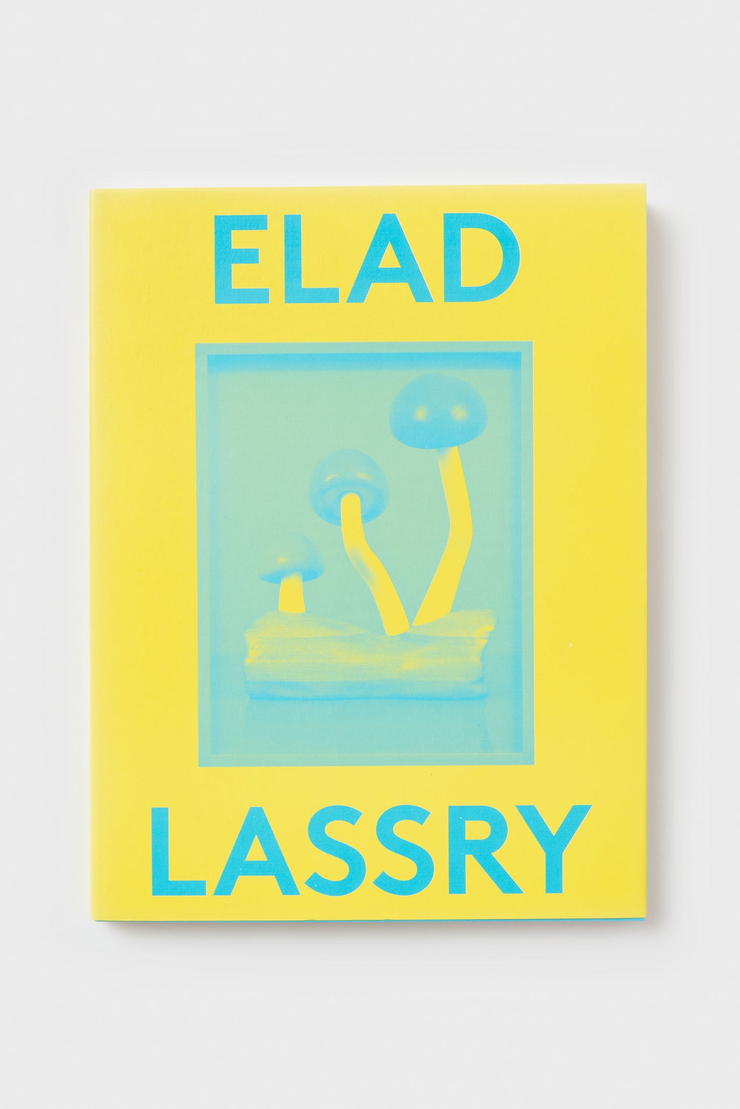 2000 Words. Elad Lassry