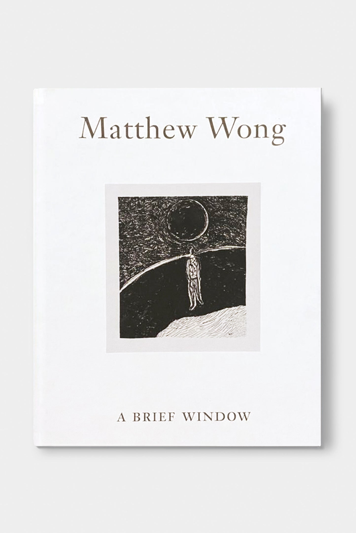Matthew Wong. A Brief Window
