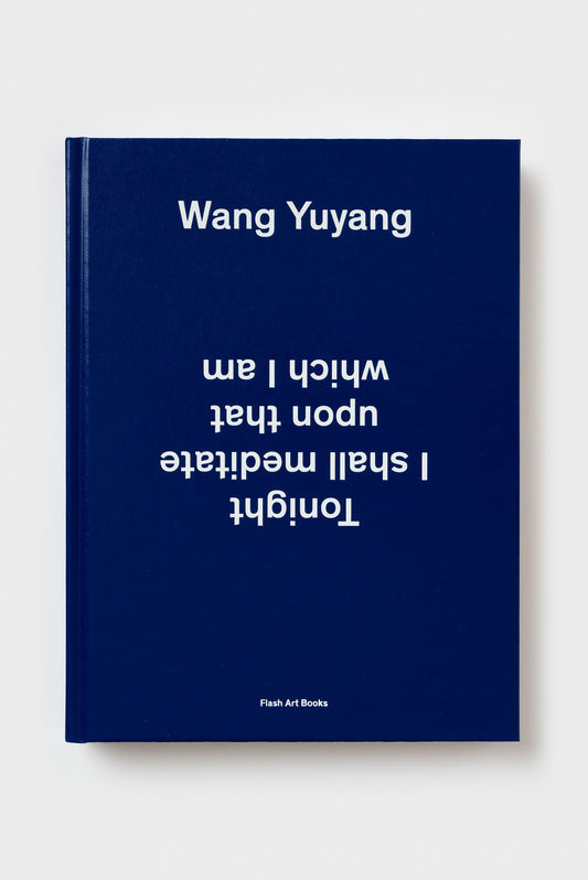 Wang Yuyang. Tonight I Shall Meditate upon That Which I Am
